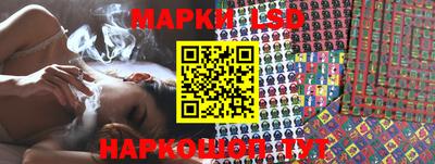 гидропоника Кулебаки