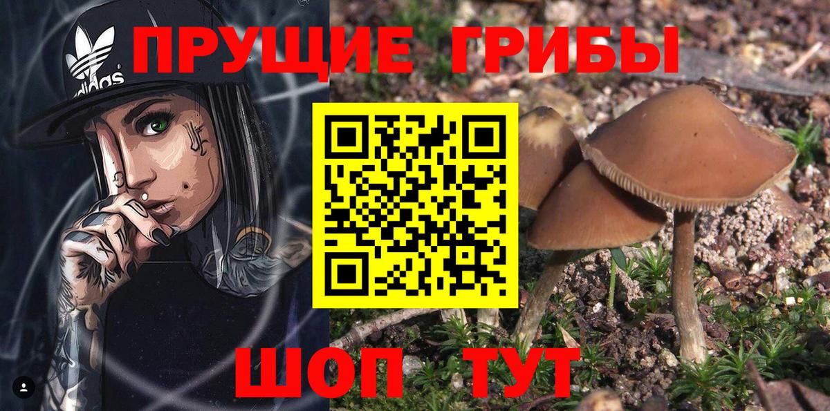 Галлюциногенные грибы мицелий Ухта